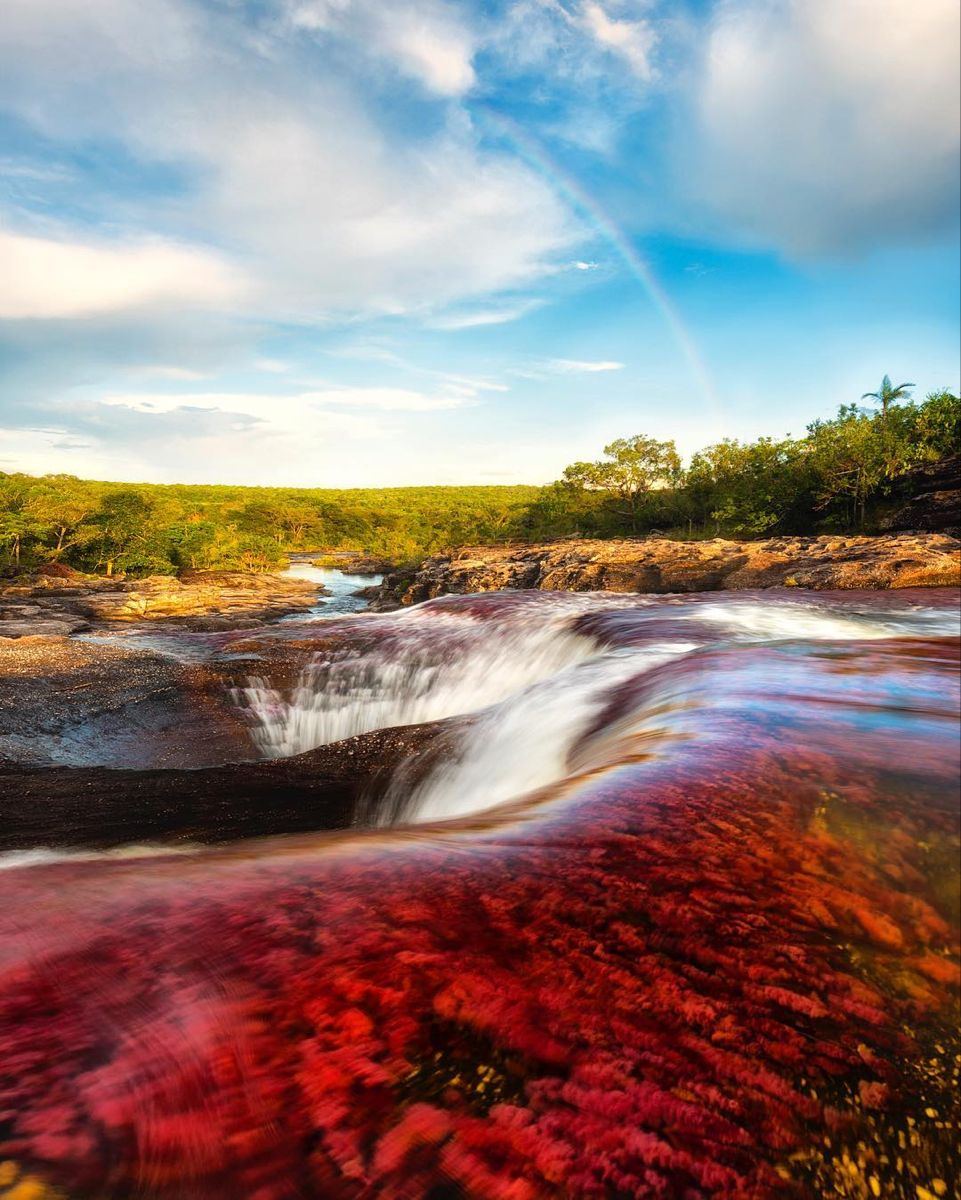 Caño Cristales
